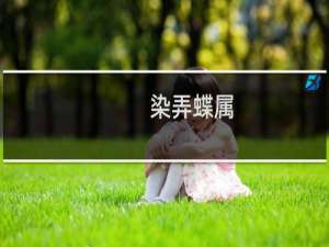 染弄蝶属(关于染弄蝶属的简介)