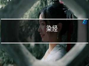 染经(关于染经的简介)