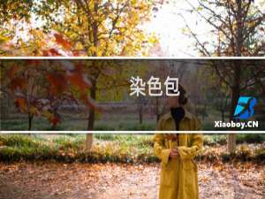 染色包(关于染色包的简介)