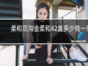柔和双沟金柔和42度多少钱一瓶