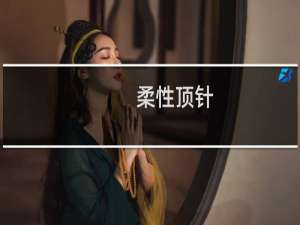 柔性顶针(关于柔性顶针的简介)