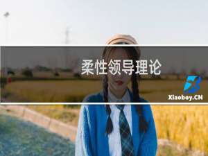 柔性领导理论(关于柔性领导理论的简介)