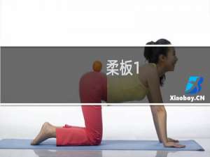 柔板1(关于柔板1的简介)