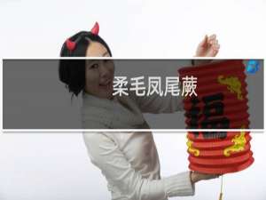 柔毛凤尾蕨(关于柔毛凤尾蕨的简介)