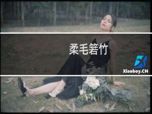 柔毛箬竹(关于柔毛箬竹的简介)