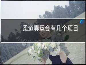 柔道奥运会有几个项目