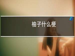 柚子什么梗