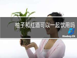柚子和红酒可以一起饮用吗