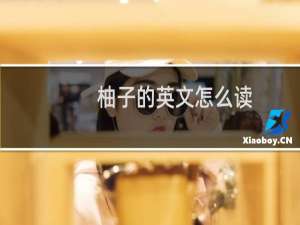 柚子的英文怎么读
