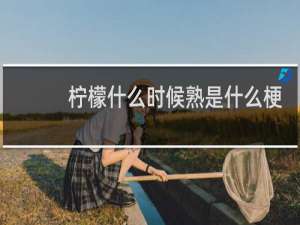 柠檬什么时候熟是什么梗 潜台词是一句脏话什么梗