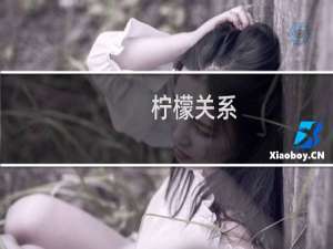 柠檬关系(关于柠檬关系的简介)