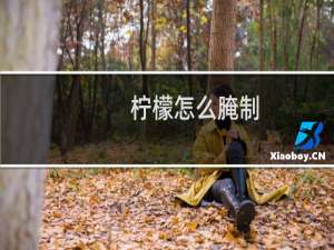 柠檬怎么腌制