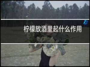 柠檬放酒里起什么作用