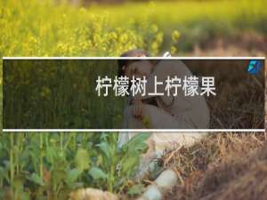 柠檬树上柠檬果，柠檬树下你和我是什么意思，下一句是什么什么梗