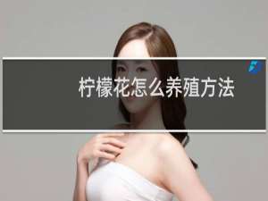 柠檬花怎么养殖方法
