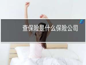 查保险是什么保险公司