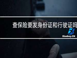 查保险要发身份证和行驶证吗