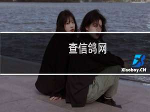 查信鸽网