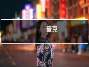 查克(关于查克的简介)