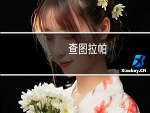 查图拉帕(关于查图拉帕的简介)