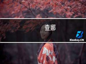 查娜(关于查娜的简介)