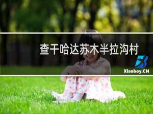 查干哈达苏木半拉沟村(关于查干哈达苏木半拉沟村的简介)