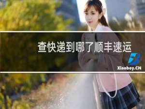 查快递到哪了顺丰速运