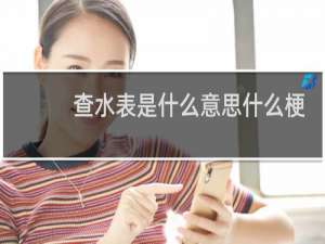 查水表是什么意思什么梗