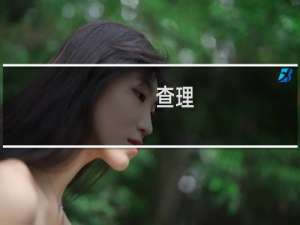 查理(关于查理的简介)