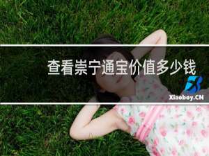 查看崇宁通宝价值多少钱