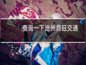 查询一下沧州鼎旺交通设施有限公司这个公司原有的备案信息