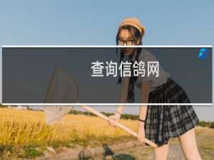 查询信鸽网