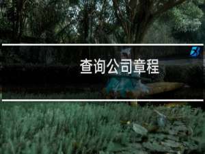 查询公司章程