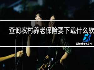 查询农村养老保险要下载什么软件