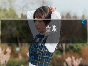 查账：当代中国银行的账务内幕(关于查账：当代中国银行的账务内幕的简介)