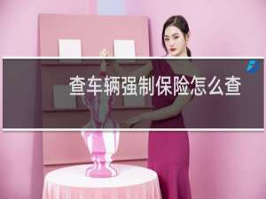 查车辆强制保险怎么查