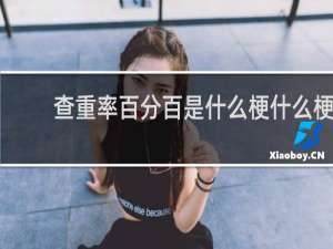 查重率百分百是什么梗什么梗
