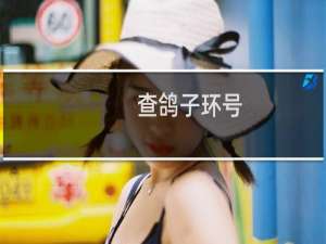 查鸽子环号