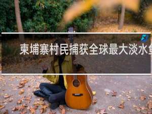 柬埔寨村民捕获全球最大淡水鱼