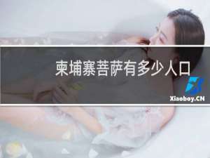 柬埔寨菩萨有多少人口