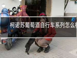 柯诺苏葡萄酒自行车系列怎么样