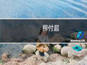 柳付超(关于柳付超的简介)