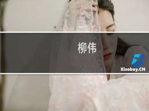 柳伟(关于柳伟的简介)