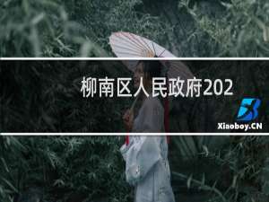 柳南区人民政府2020年政府信息公开工作年度报告(关于柳南区人民政府2020年政府信息公开工作年度报告的简介)