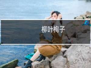 柳叶栒子(关于柳叶栒子的简介)