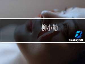 柳小勤(关于柳小勤的简介)