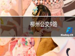 柳州公交9路(关于柳州公交9路的简介)