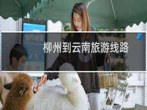 柳州到云南旅游线路
