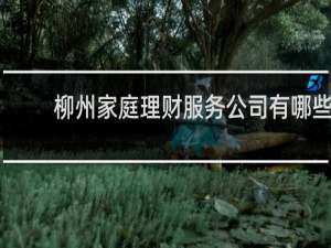 柳州家庭理财服务公司有哪些