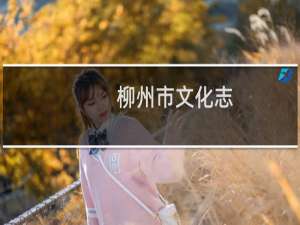 柳州市文化志(关于柳州市文化志的简介)